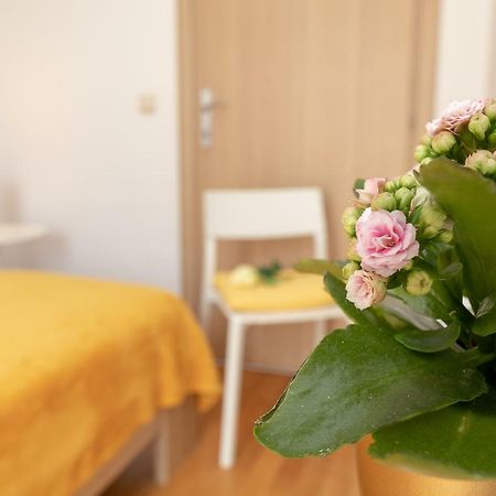 Apartment Nik - Cosy And Stylish Dubrovnik Buitenkant foto